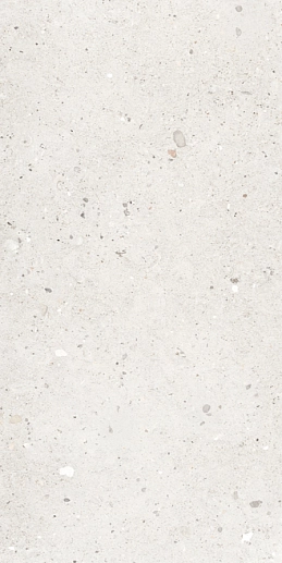 Ego Avorio Nat. Rett 60x30 - фото 1