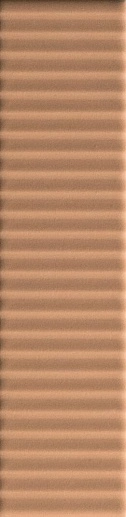 Biscuit Strip Terra 5x20 - фото 1