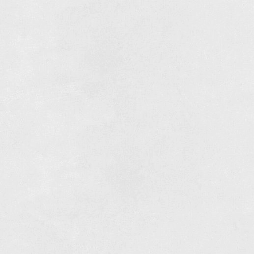 Silica Bianco Sugar 60x60 - фото 1
