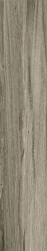 Ceylan Gris Nplus Rect 22x118 - фото 1