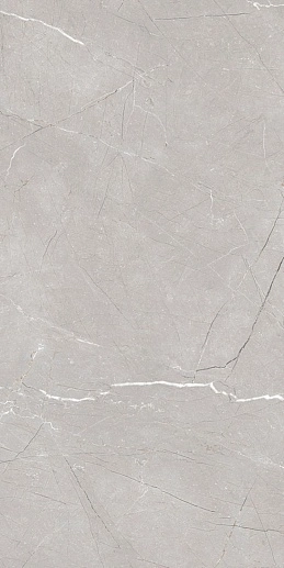Larice Grey 60x120 - фото 1