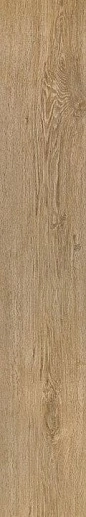 Root Miele 20x120 - фото 1