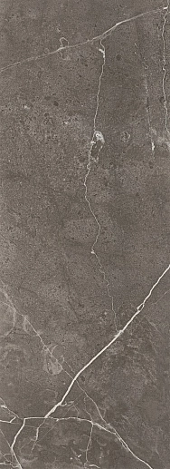 Chisa Graphite 32.8x89.8 - фото 1