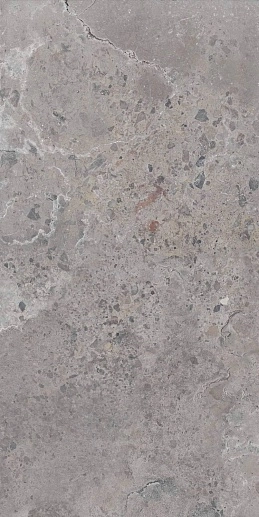 Pietra Viva Grey Nat Rett. 60x120 - фото 1