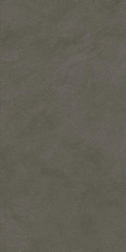 Boost Natural Coal 60x120 - фото 1