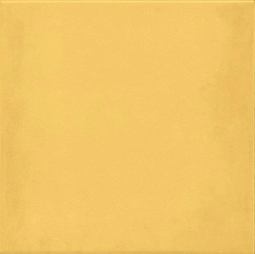 1900 Amarillo 20x20 - фото 1