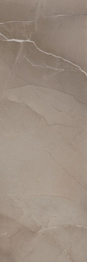 Passion R90 Taupe 30x90 - фото 1