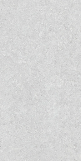 Ghent Silver AS/60x120/C/R - фото 1