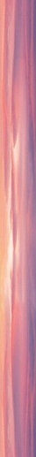 Flamingo Pink 4x50 - фото 1