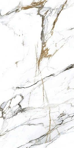 Oikos Gold 60x120 - фото 1