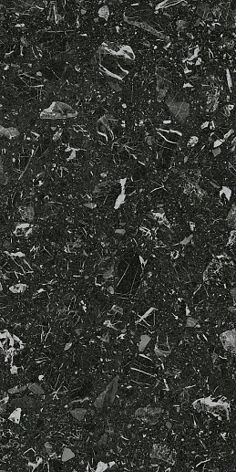 Luna-R Negro G.200 60x120 - фото 1