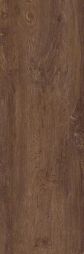 Forest Noce 100x300 - фото 1