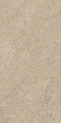 Lightstone Beige 59.8x119.8 - фото 1
