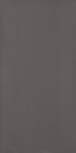 Doblo Grafit Mat. 29.8x59.8 - фото 1