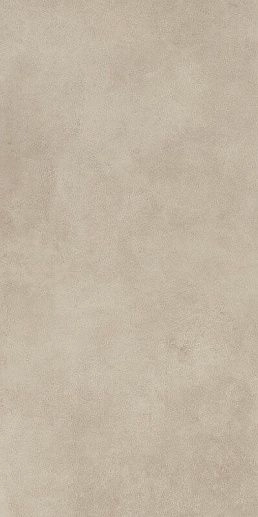 Magnetik Beige Gres Rekt. 59.8x119.8 - фото 1