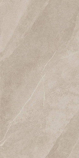 Shale Taupe SQ 60x120 - фото 1