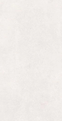 Cava Pearl 60x120 - фото 1