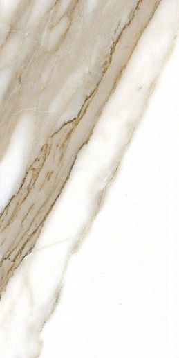 Pulido NPlus 60x120 Calacatta NPlus - фото 1