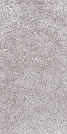 Arles Gris 60x120 - фото 1