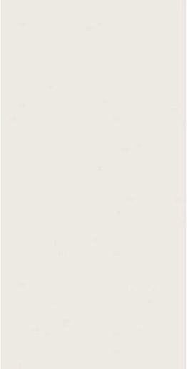 4D Plain White Matt Rett 40x80 - фото 1