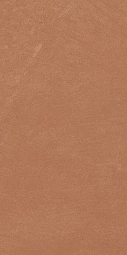 Argillae Coral 60x120 - фото 1