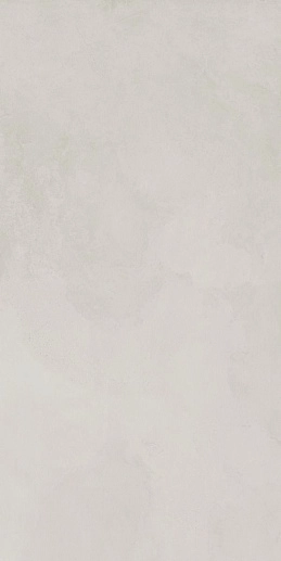 Evolution Blanco Белый 60x120 - фото 1