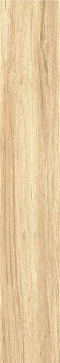 Porcelain ZC 1223081 rect. 20x120 - фото 1