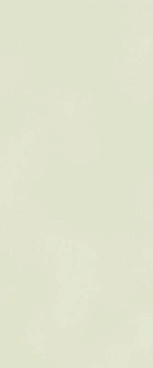 Boost Color Salix Matt 50x120 - фото 1