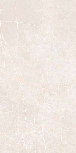 Stone Vision Light Beige 60x120 - фото 1