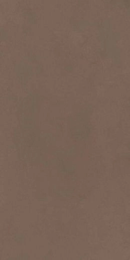 Nuances Marrone 60x120 - фото 1