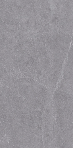 Silk 60x120 Alpine Gris Matt - фото 1