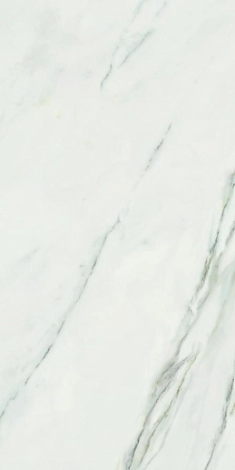 Calacatta Superwhite 60x120 - фото 1
