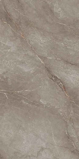 Belvedere Orobico Brown Polished 60x120 - фото 1