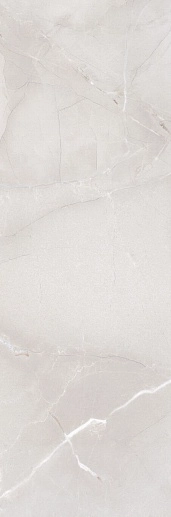 Passion R90 Ice 30x90 - фото 1