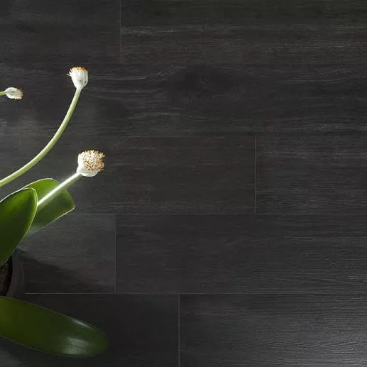 Emigres Hardwood 1