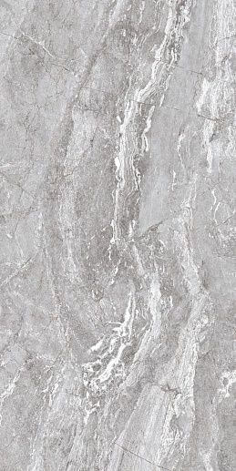 Premi Grey 60x120 - фото 1