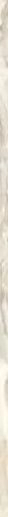 Gemstone Coprispigolo Ivory Lux 1.5x58.5 - фото 1