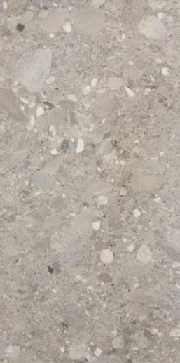 Ceppo Di Gres Grigio 60x120 - фото 1