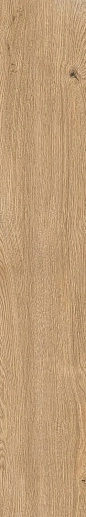Four Seasons Honey Nat R 20x120 - фото 1