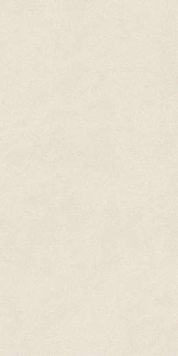 Boost Natural Pro Salt Matte 60x120 - фото 1