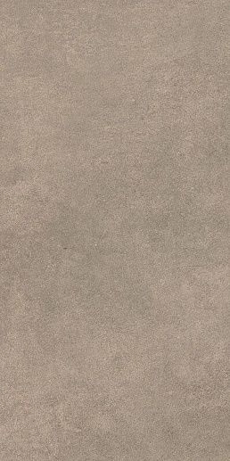 Magnetik Brown 29.8x59.8 - фото 1