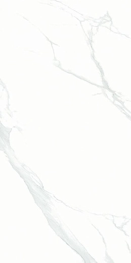 Bright And Shiny Statuario - Ntt9106p 60x120 - фото 1