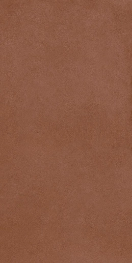 Nuances Fiamma 60x120 - фото 1