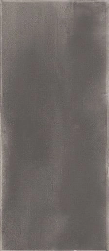 Dante Grey 12x24 - фото 1