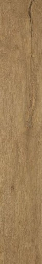 Roots Gold 20x120 - фото 1