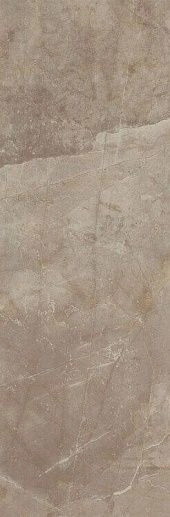 Evolution Marble Bronzo Amani MHD4 32.5x97.7 - фото 1