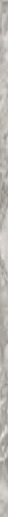Gemstone Coprispigolo Silver Rett. 1.5x58.5 - фото 1