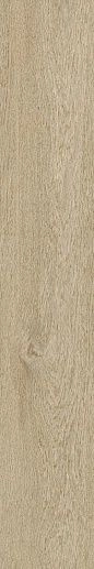 Ossimori Avorio Extra Matt Rett 20x120 - фото 1
