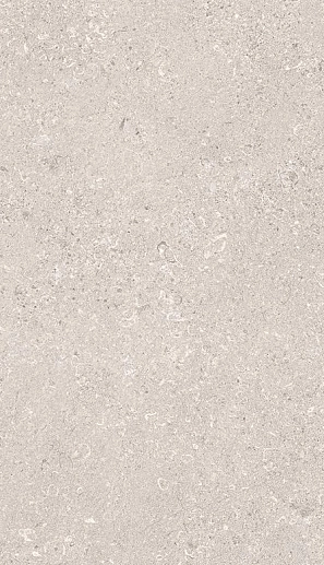 MaPierre Noble Gris Naturale Rett. 60x120 - фото 1
