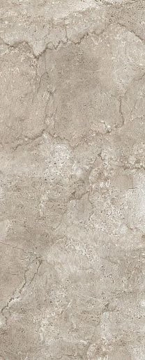 Savia Бежевый 20x50 - фото 1